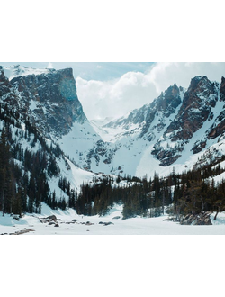 Northern Forest fragrance compound (A.F.C.) / Северный лес премиум парфюмерный концентрат