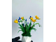 Силиконовый вайнер для фоамирана «Лепестки мини тюльпана + тычинки» (ELF_decor)