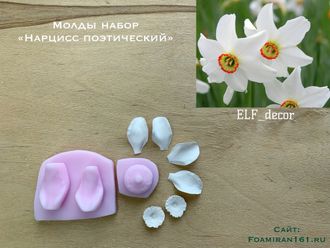 Молды  набор «Нарцисс поэтический» (ELF_decor)