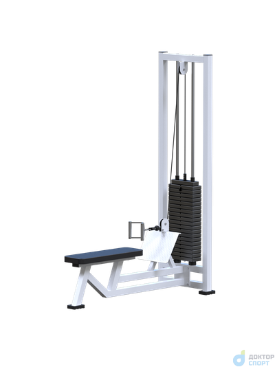 Горизонтальная тяга (стек 100кг)