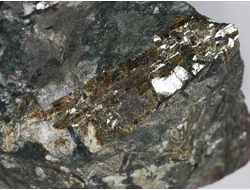 Эвдиалит, Эгирин в породе, Россия, Кольский п-ов, Хибины (180*120*90 мм, 2534 г) №20636