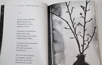 Попов О. Я люблю тебя, жизнь! Ростов-на-Дону- М.: Заряница- Светец. 2015.