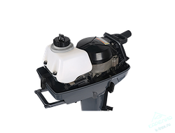 Лодочный мотор ALLFA CG T3