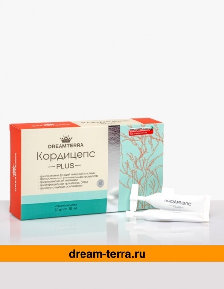 DreamTerra Кордицепс PLUS - Природный антибиотик