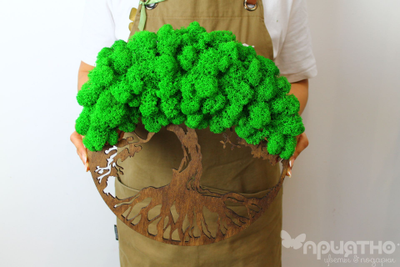 ЖИВАЯ ЭКО-КАРТИНА 1025