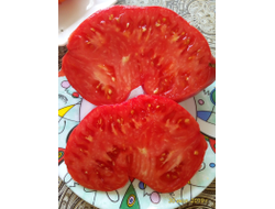 Томат Замок Шартр (усл)