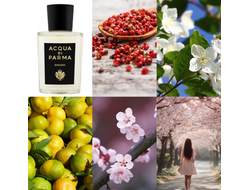 Acqua di Parma Sakura