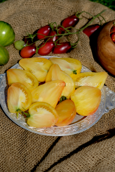 Томат Белое Сердце Софии