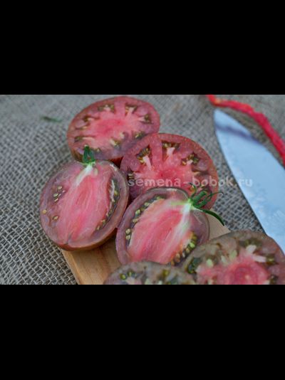 Томат Rebel Starfighter Blaine&#039;s Moonlight (Восставший Звездный Истребитель Лунный Свет Блэйна) , 10 шт