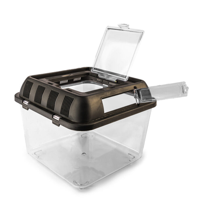 Фаунариум 205х205х170 мм (для пауков, скорпионов и маленьких змей)