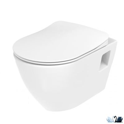 Унитаз Creavit Terra TP325-00CB00E-0000, с функцией биде, подвесной