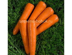 Морковь Силвано F1 (0,5 г)