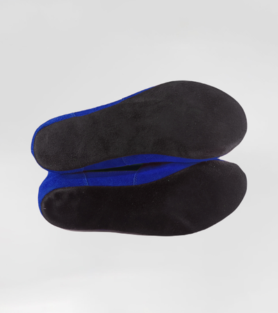 Борцовки для самбо ВФС BRAVEGARD Ascend на липучке сине-красные