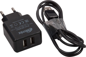 Сетевое зарядное устройство Ritmix RM-2095AC (черный)
