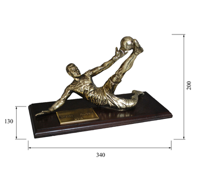 Размер ST-024 Акинфеев