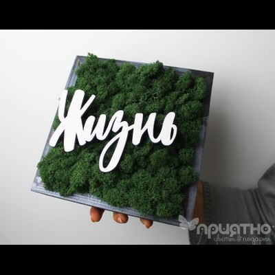 ЖИВАЯ ЭКО-КАРТИНА 1058