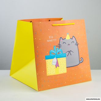 Пакет квадратный «Котик и тортик» 30 x 30 x 30 см