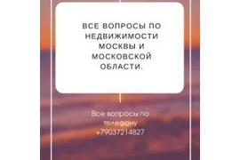 Юридические услуги