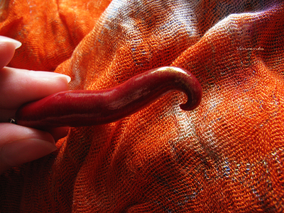 Яркий кулон с перцем чили - "Пикантный"