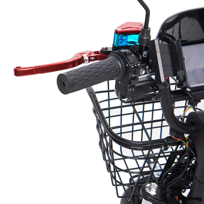 Jetson MONSTER CROSS 1200W 60V21Ah NEW 2024