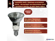 Paulmann Halogen ALU Reflector PAR16 50w 230v E14