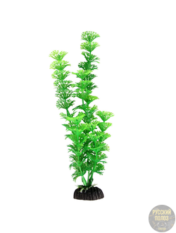 Растение "Амбулия" зеленая, 300мм, Laguna