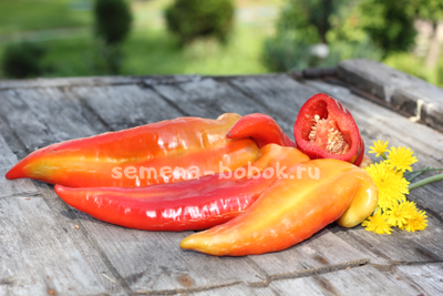 Перец сладкий Банановый десерт, 10 шт.