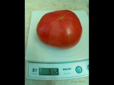 Томат Большой Серж (Grosse Serge)