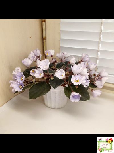 Rob&#039;s Pewter Bells (R. Robinson) 07/06/1992