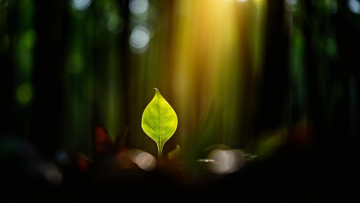 Фокус на главном - кпт терапия тюмень