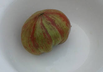 Семена томата Грааль, Гном