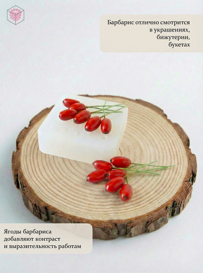 Молд "Барбарис"