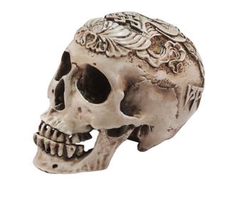 череп, резной череп, черепушка, резьба, skull, труп, скелет, кость, зубы, страшный, ужасный, человек