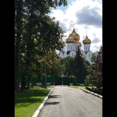 Экскурсия «Ярославль: Стрелка двух рек, Толгский монастырь и кедровая роща»