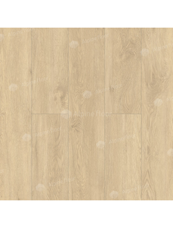 ABA ламинат Камфора ECO 11-503
