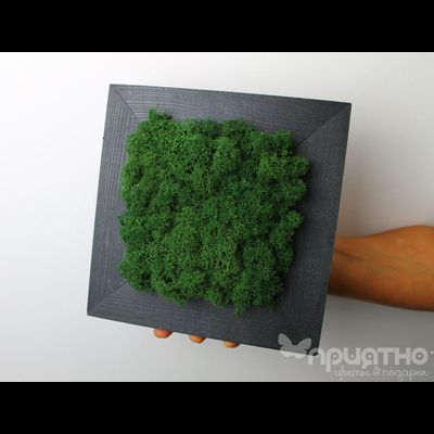 ЖИВАЯ ЭКО-КАРТИНА 1066