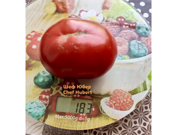 Томат Шеф Юбер (Chef Hubert)