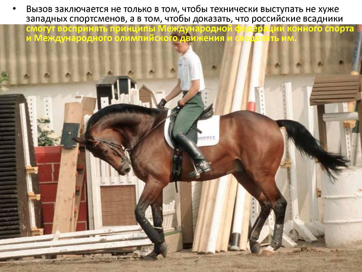 Роллкур конный спорт