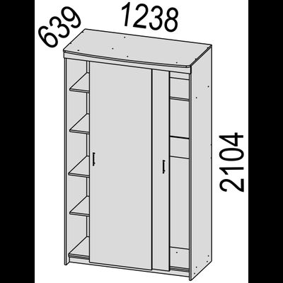 Шкаф-купе Ирина-2