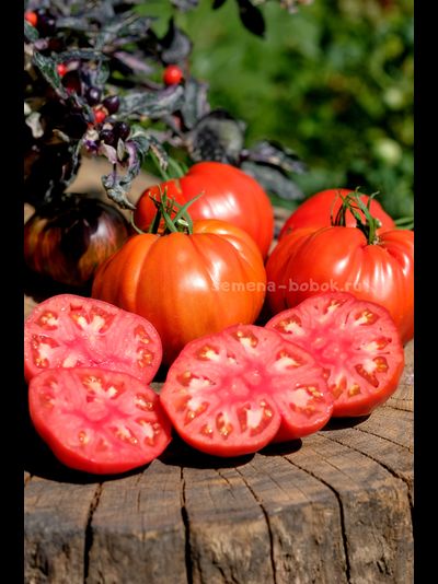 Томат Reduci (Ветеран), 10 шт