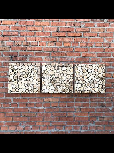 панно из спилов, спилы для стен, декор спилами, декор магазина, декор ресторана, декор офиса, фото