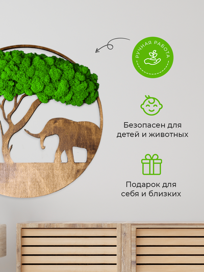 ЖИВАЯ ЭКО-КАРТИНА 1009