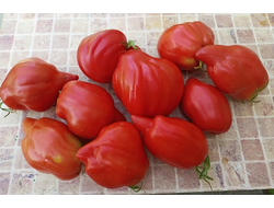 Томат Скифея (Скифская фея)