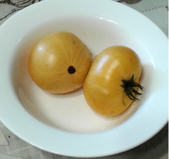 Семена томата Совершенная Гармония Гном