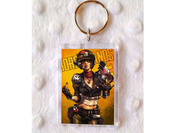 Брелок акриловый Borderlands, Бордерленд №18