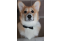 17.png