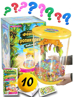 Ферма Бабочек "Тропикарий" набор Тайный 10 штук