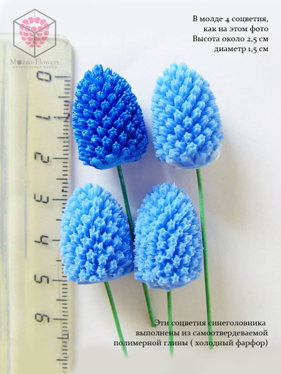 Силиконовый молд "Синеголовник (эрингиум) "