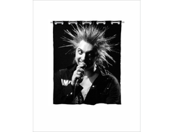 Штора в ванную Король и Шут №7