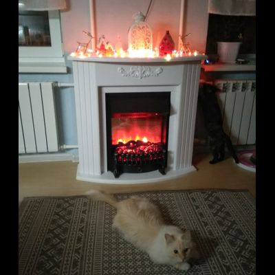 Электрокамин Лион WT с очагом Fobos